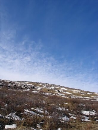 Golog Tibetan Autonomous Prefecture